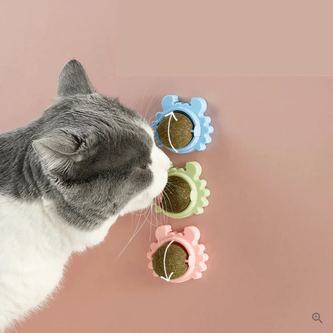 Premium Catnip – Katzenminze Ball für endlosen Spielspaß und Aktivität