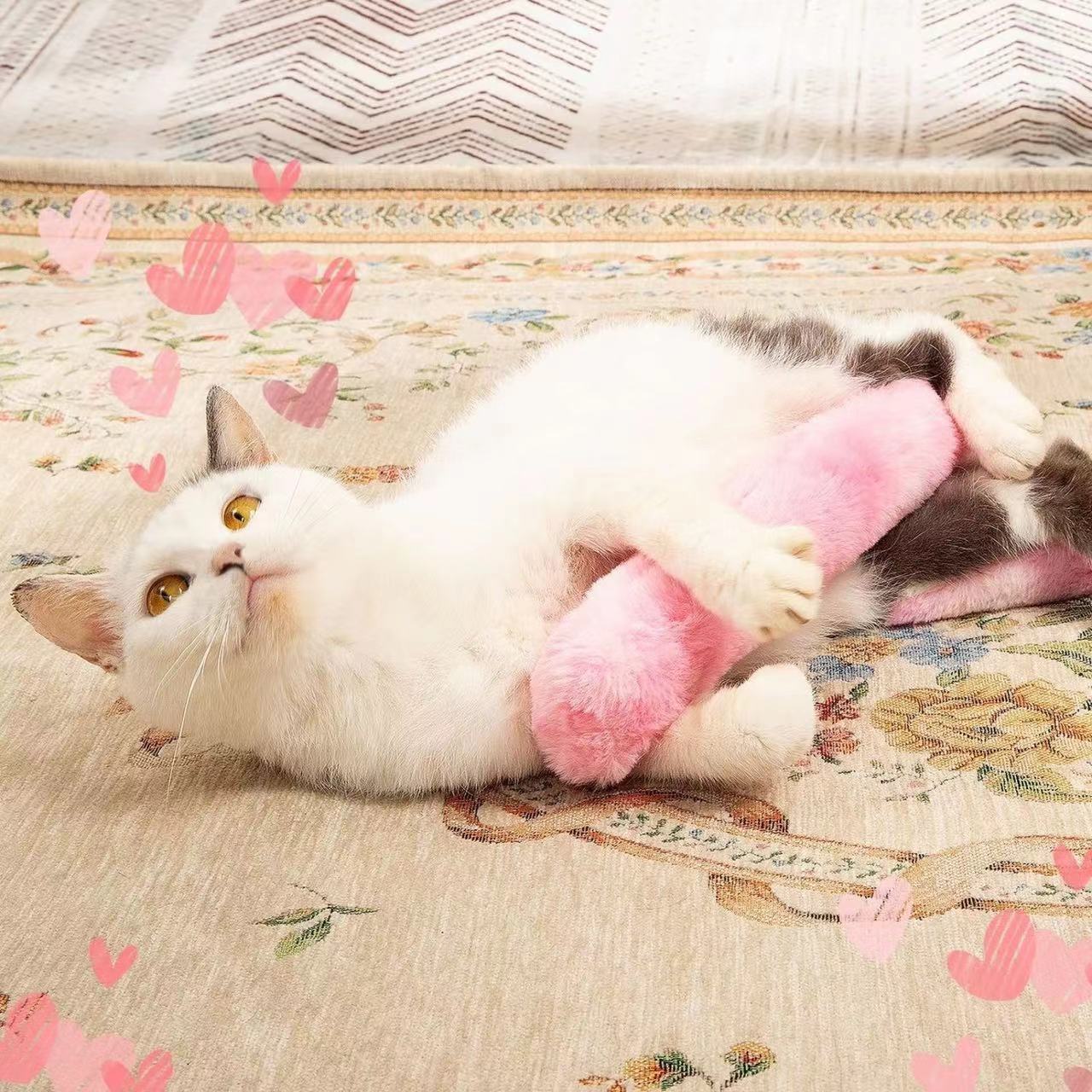 Katzenminze Spielkissen – Weiches Kauspielzeug für Katzen