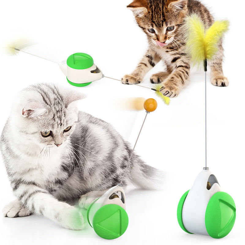 Interaktiver Katzenminze-Spielball für Katzen – Katzentango