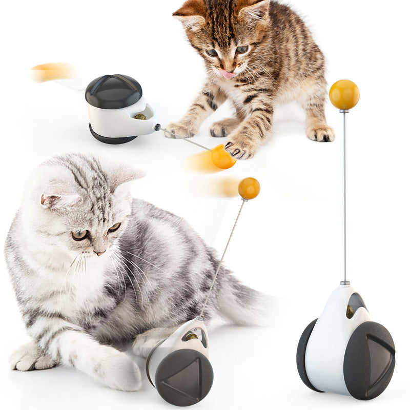 Interaktiver Katzenminze-Spielball für Katzen – Katzentango