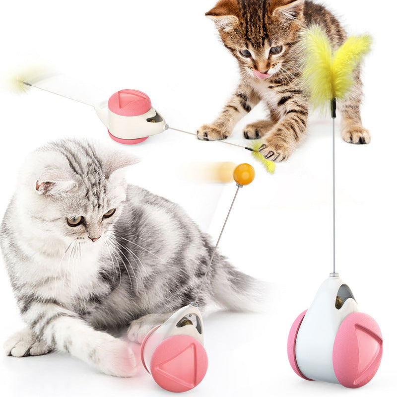 Interaktiver Katzenminze-Spielball für Katzen – Katzentango