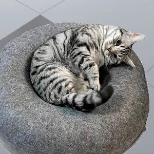 WohlfühlTunnel für Katzen – Der gemütliche Rückzugsort für deinen Stubentiger