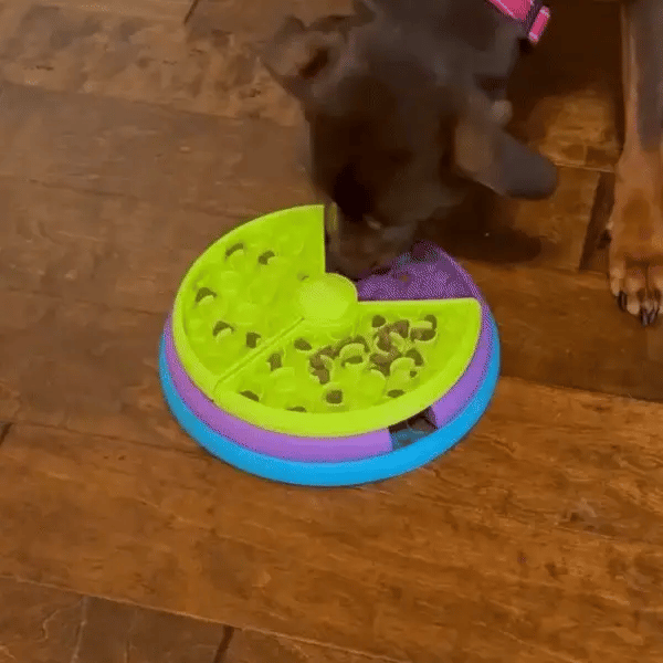 Die intelligente Futterstation