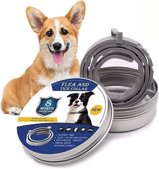 AromaÖl Hunde- und Katzenhalsband – Natürlicher Schutz vor Flöhen & Zecken