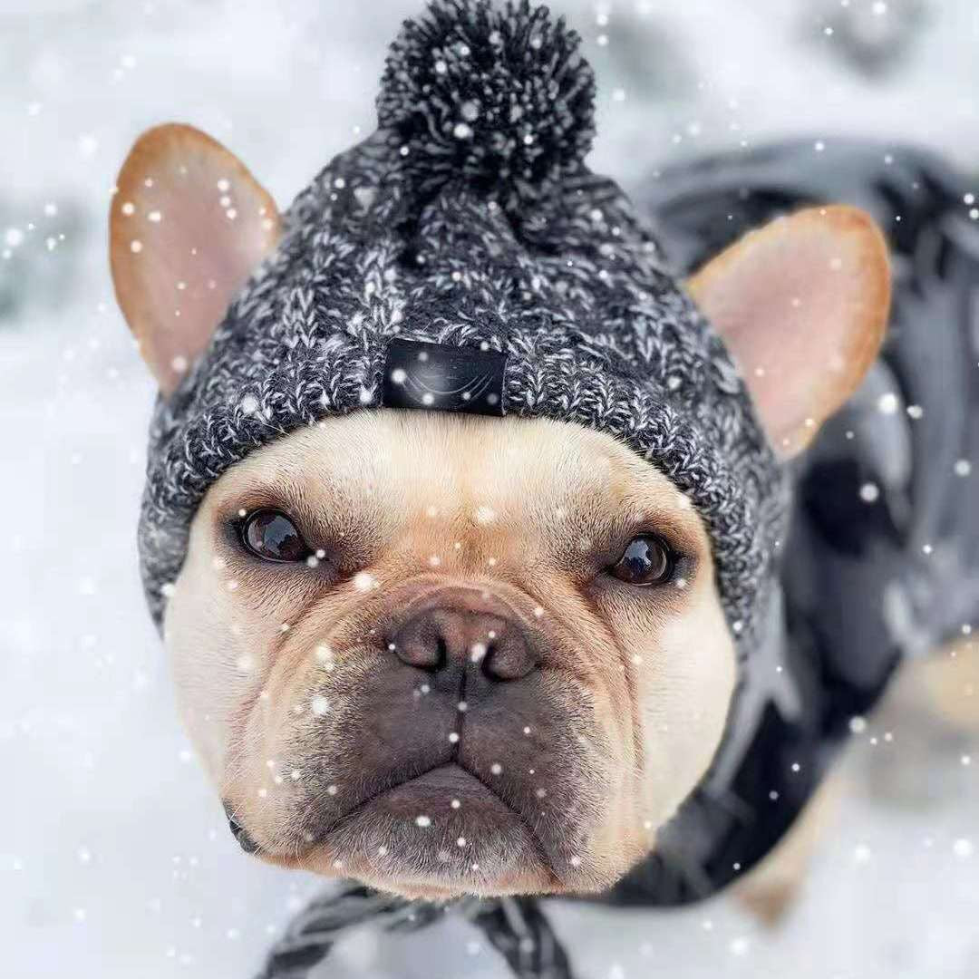 Hundemütze für den Winter – Fellfreunde-Mütze für Wärme und Komfort
