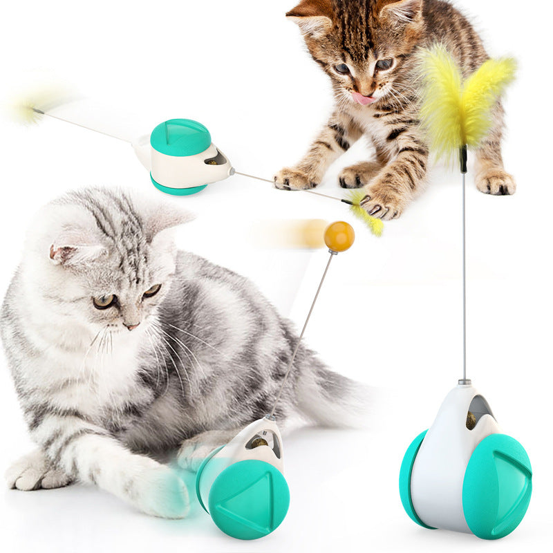Interaktiver Katzenminze-Spielball für Katzen – Katzentango