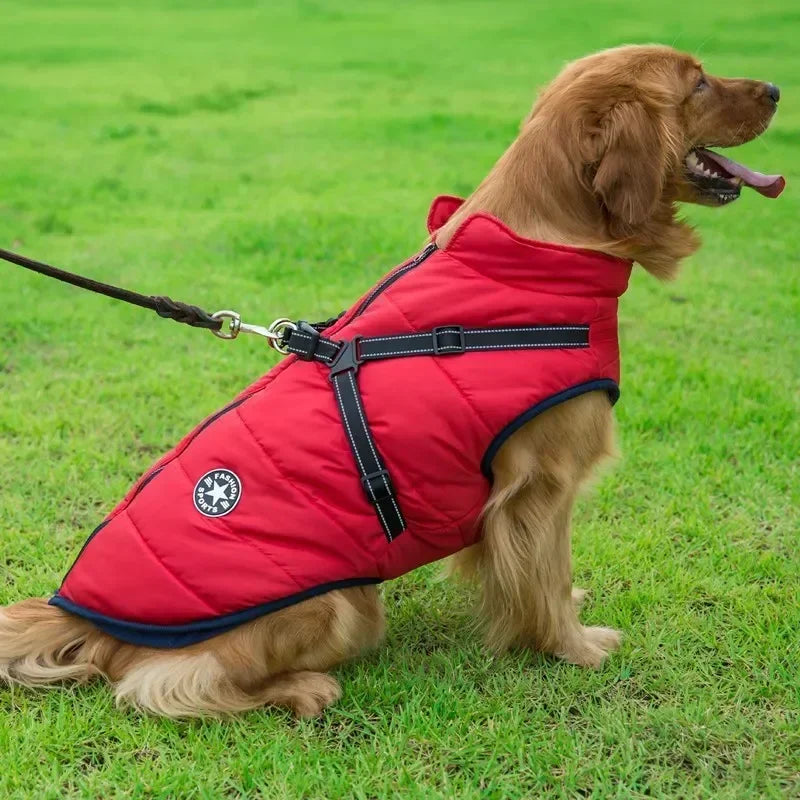 Wetterfeste Hundejacke – Robuste und wasserdichte Jacke für Hunde bei Regen, Schnee und Wind
