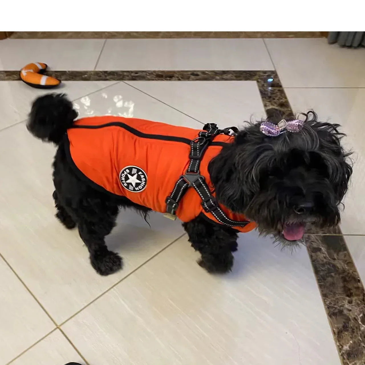 Wetterfeste Hundejacke – Robuste und wasserdichte Jacke für Hunde bei Regen, Schnee und Wind