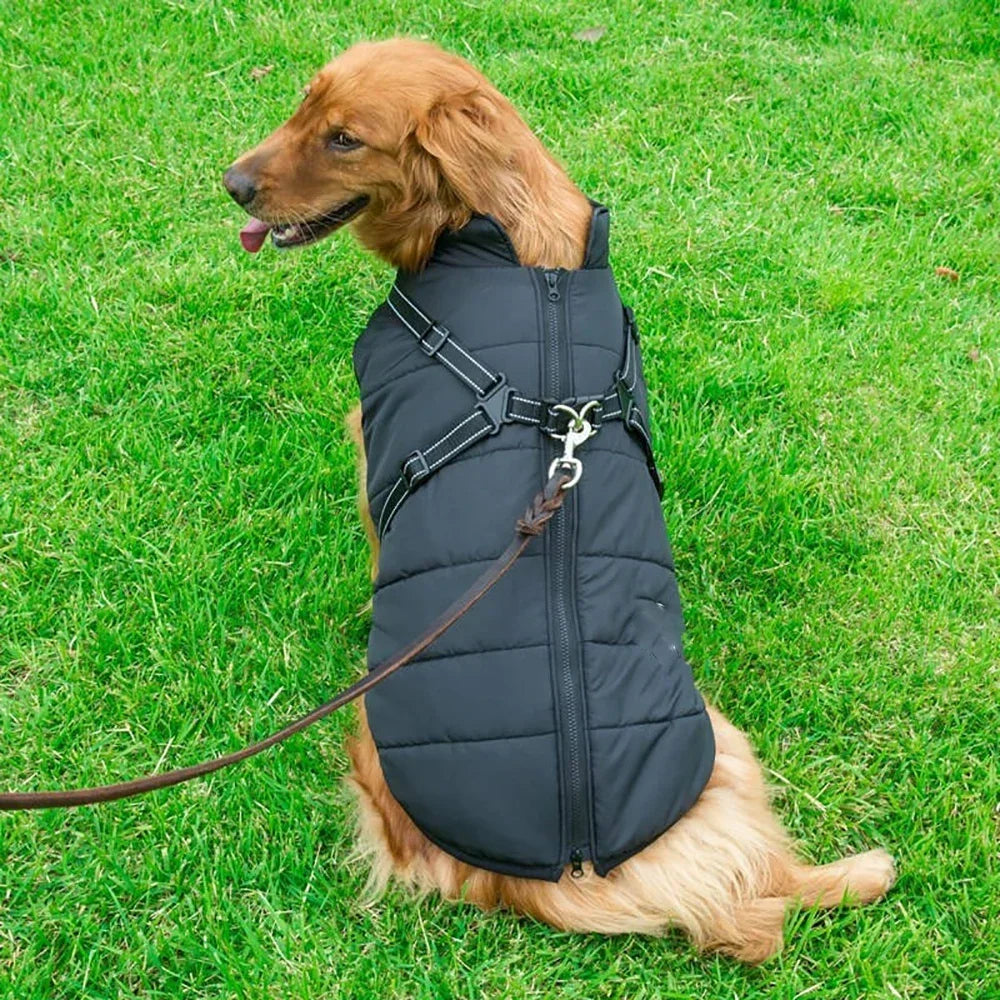 Wetterfeste Hundejacke – Robuste und wasserdichte Jacke für Hunde bei Regen, Schnee und Wind