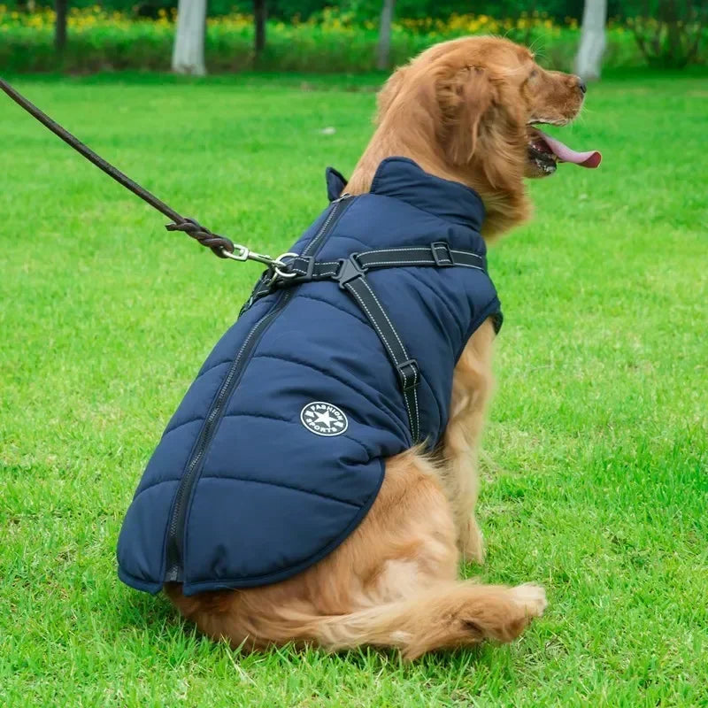 Wetterfeste Hundejacke – Robuste und wasserdichte Jacke für Hunde bei Regen, Schnee und Wind
