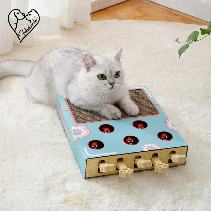 KatzenAbenteuerBox – Interaktive Kratz- & Spielstation für Katzen