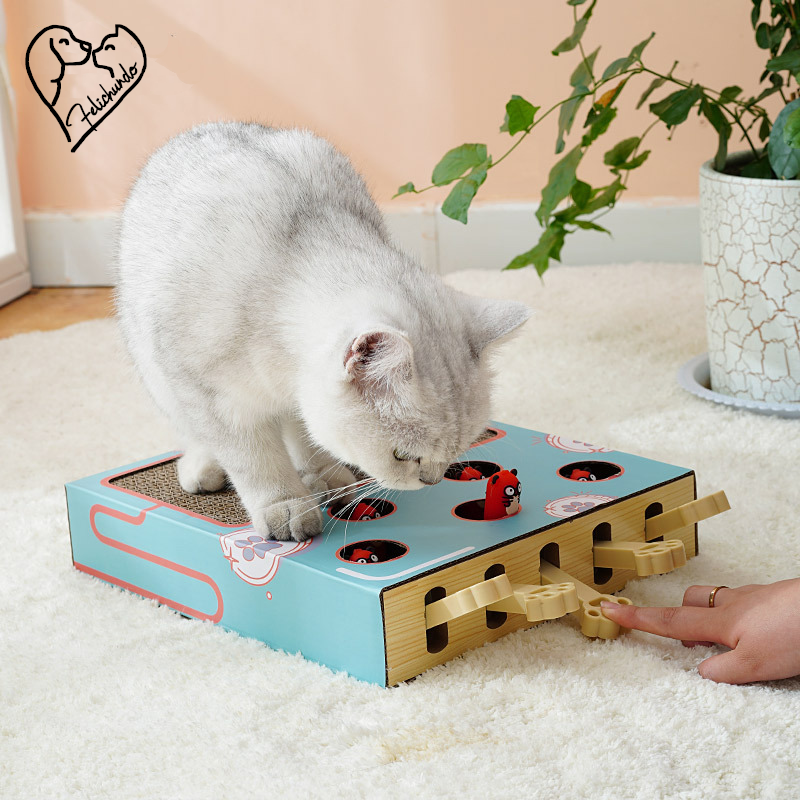 KatzenAbenteuerBox – Interaktive Kratz- & Spielstation für Katzen