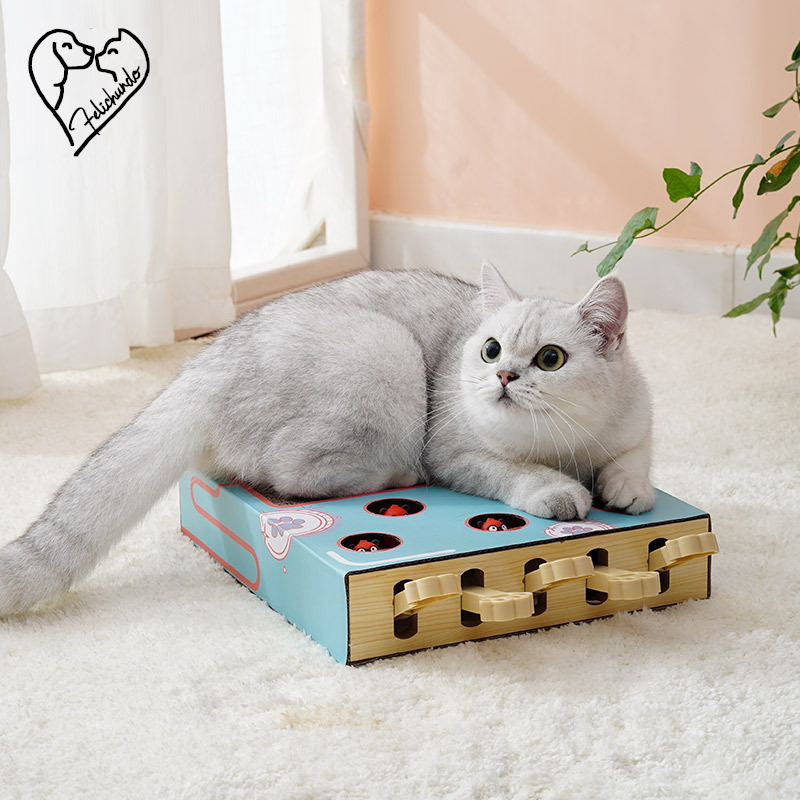 KatzenAbenteuerBox – Interaktive Kratz- & Spielstation für Katzen