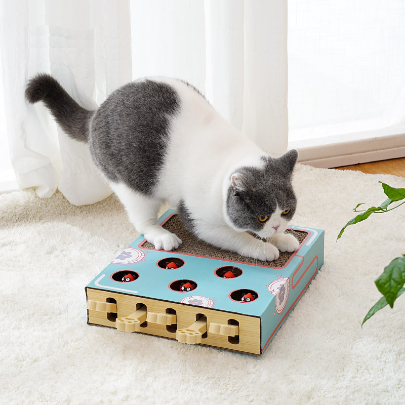KatzenAbenteuerBox – Interaktive Kratz- & Spielstation für Katzen