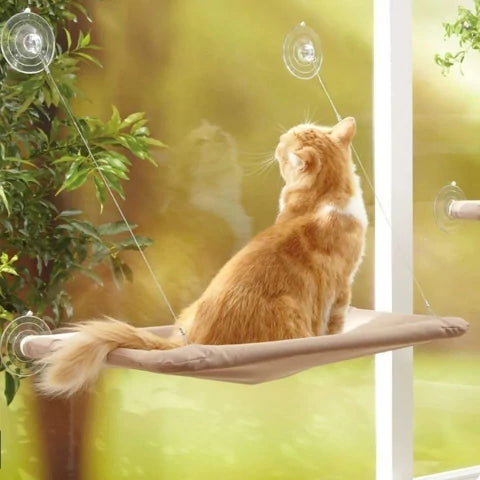SkyPurr – Die Fenster-Hängematte für das ultimative Katzenvergnügen